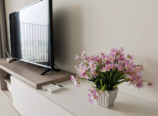 apartment for rent in Binh Thanh district BT105L550 (6)